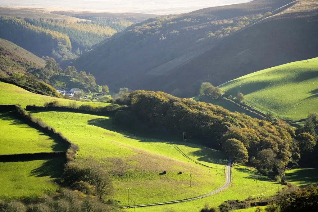 success-stories-client-living-with-dementia-devon